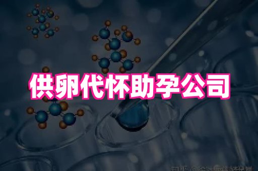 海口助孕网站 1