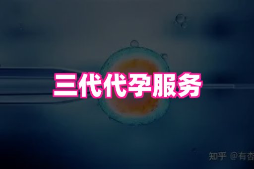 海口助孕网站 3