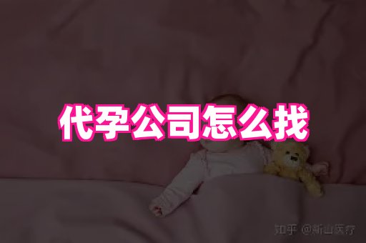 海口助孕网站 4